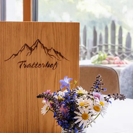 Apartment Tratterhof Eidechsspitze Vandoies